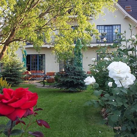 Villa Westfalia Guest House Тыргу-Секуеск Экстерьер фото
