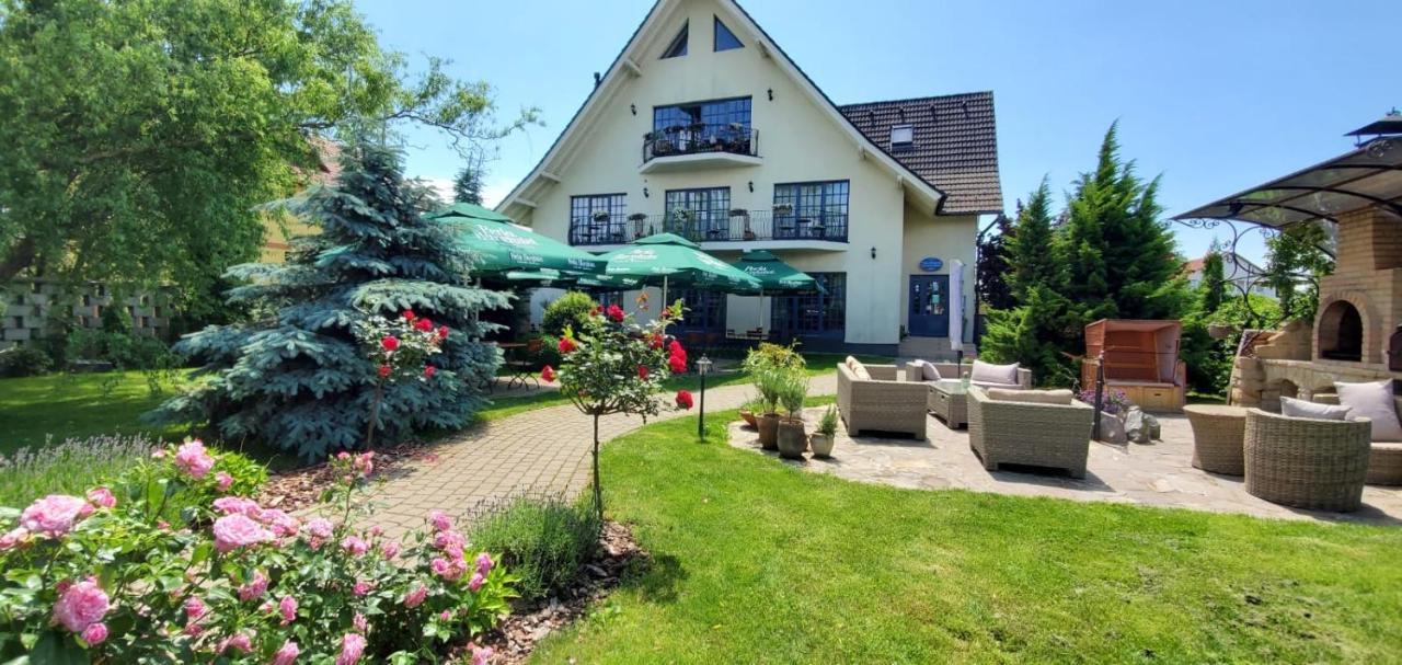 Villa Westfalia Guest House Тыргу-Секуеск Экстерьер фото