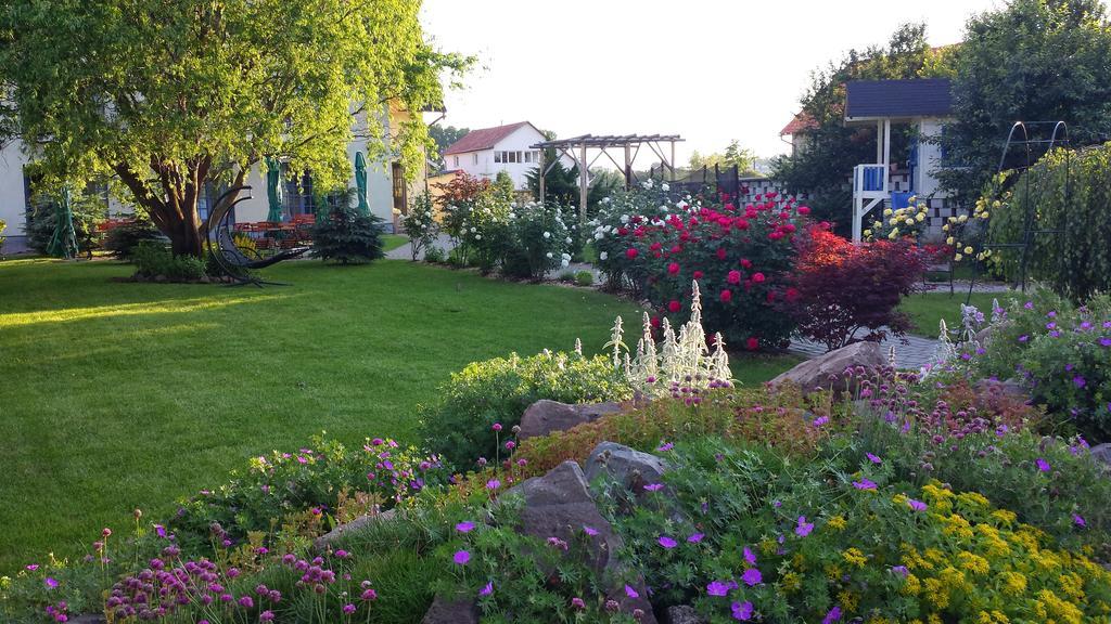 Villa Westfalia Guest House Тыргу-Секуеск Экстерьер фото