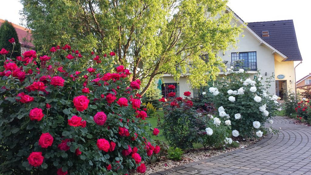 Villa Westfalia Guest House Тыргу-Секуеск Экстерьер фото