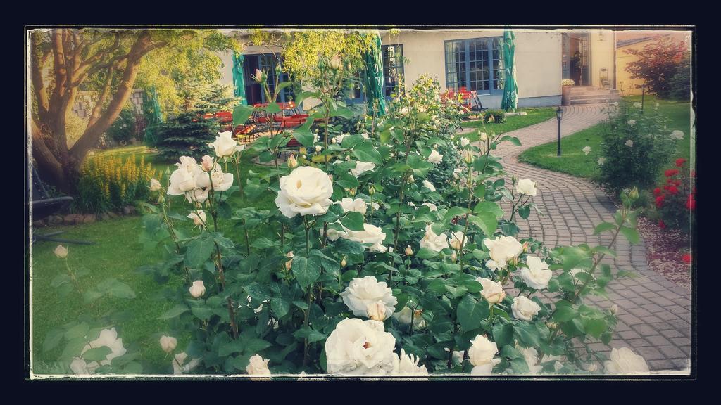 Villa Westfalia Guest House Тыргу-Секуеск Экстерьер фото